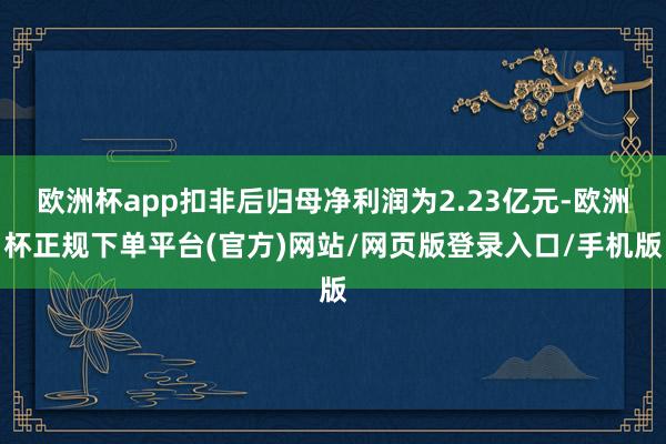 欧洲杯app扣非后归母净利润为2.23亿元-欧洲杯正规下单平台(官方)网站/网页版登录入口/手机版